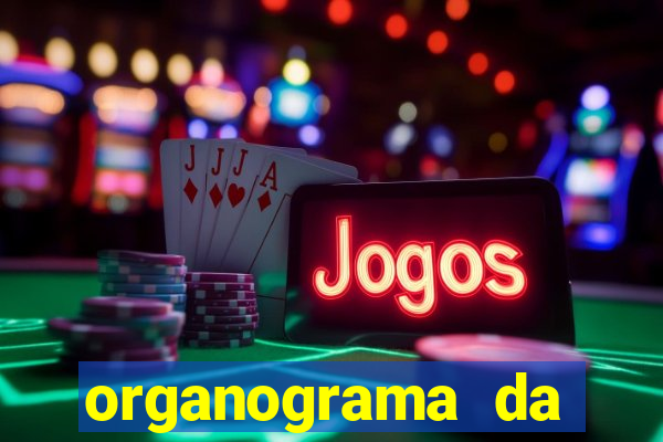 organograma da cacau show